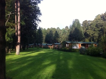rancho viejo