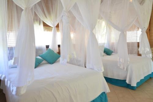 bacalar