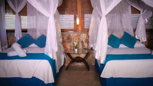 bacalar