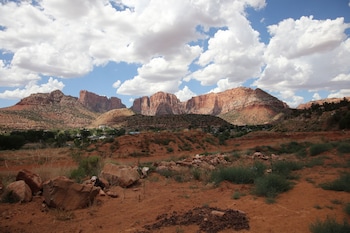 zion view camping