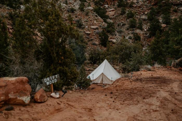 zion view camping