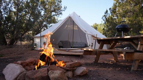 zion view camping