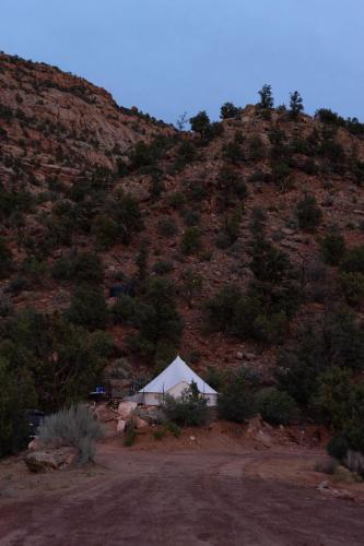 zion view camping