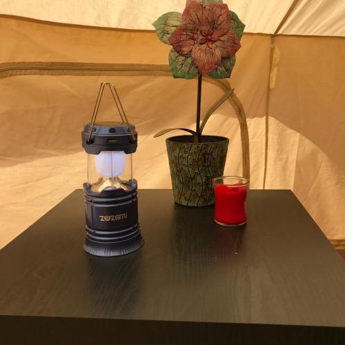zion view camping