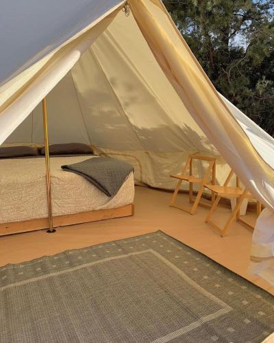 zion view camping