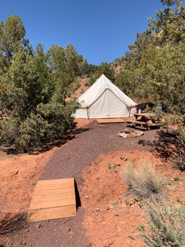 zion view camping