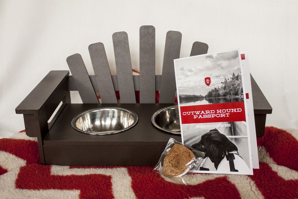 grand adirondack hotel lake placid a tribute portfolio hotel