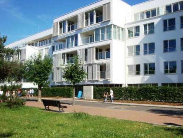 apartamenty sun and snow playa baltis