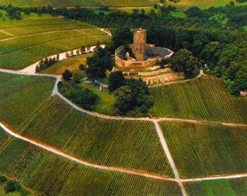 hotel restaurant weingut kuferschanke
