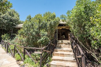 rhino watch safari lodge