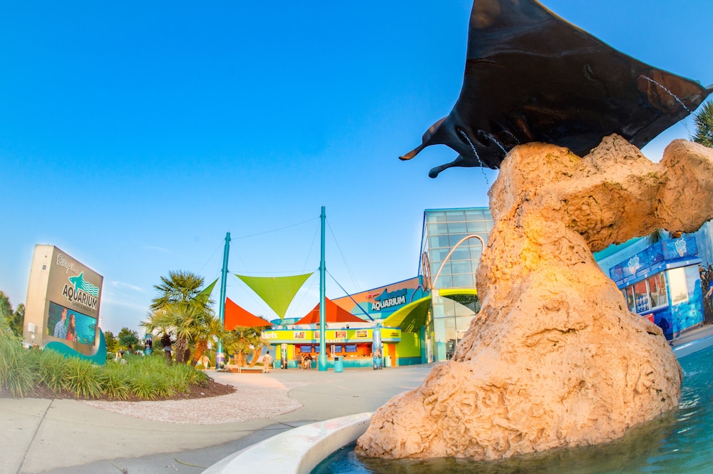 sandcastle oceanfront resort at the pavilion