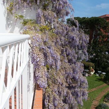 villa arizona bandb