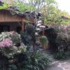 leo home stay