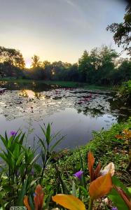 village homestay