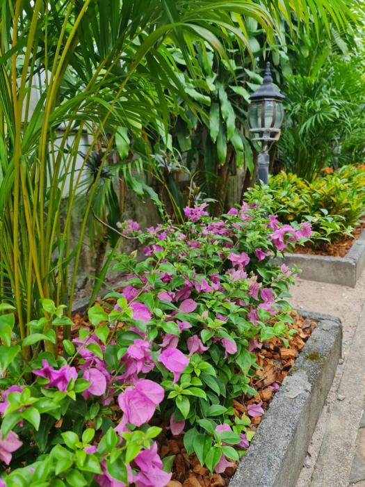 momento bangtao beach