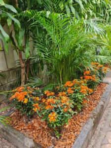 momento bangtao beach