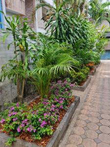 momento bangtao beach