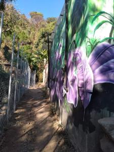 san marcos la laguna