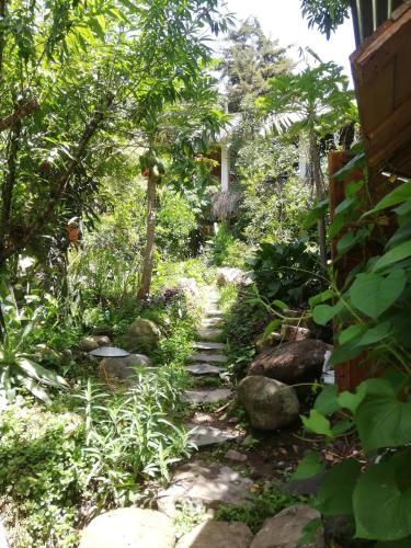 san marcos la laguna