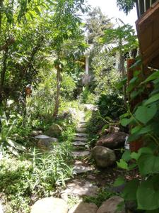 san marcos la laguna