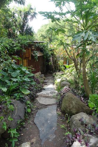 san marcos la laguna