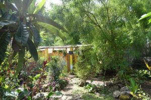 san marcos la laguna