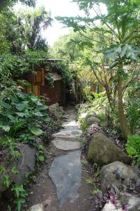 san marcos la laguna