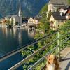 cafe restaurant zum muhlbach