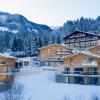 panorama lodge schladming