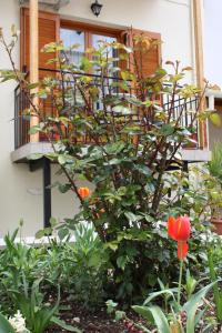 domus inn