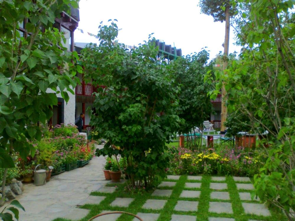 hotel shambhala resort