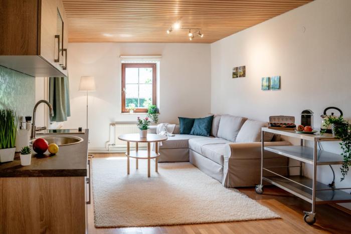 lakeview apartment