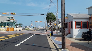 wildwood