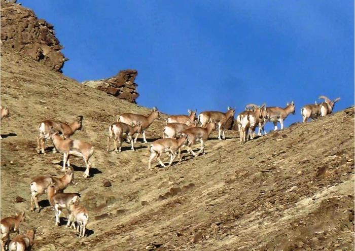 namra hotel and camps temisgam