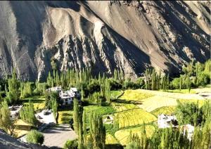 namra hotel and camps temisgam