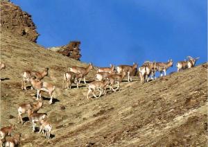namra hotel and camps temisgam