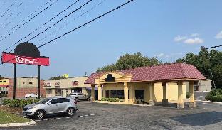 lenoir