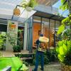 tram homestay