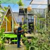tram homestay