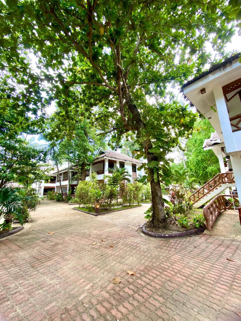 the bruce luxury private cottage