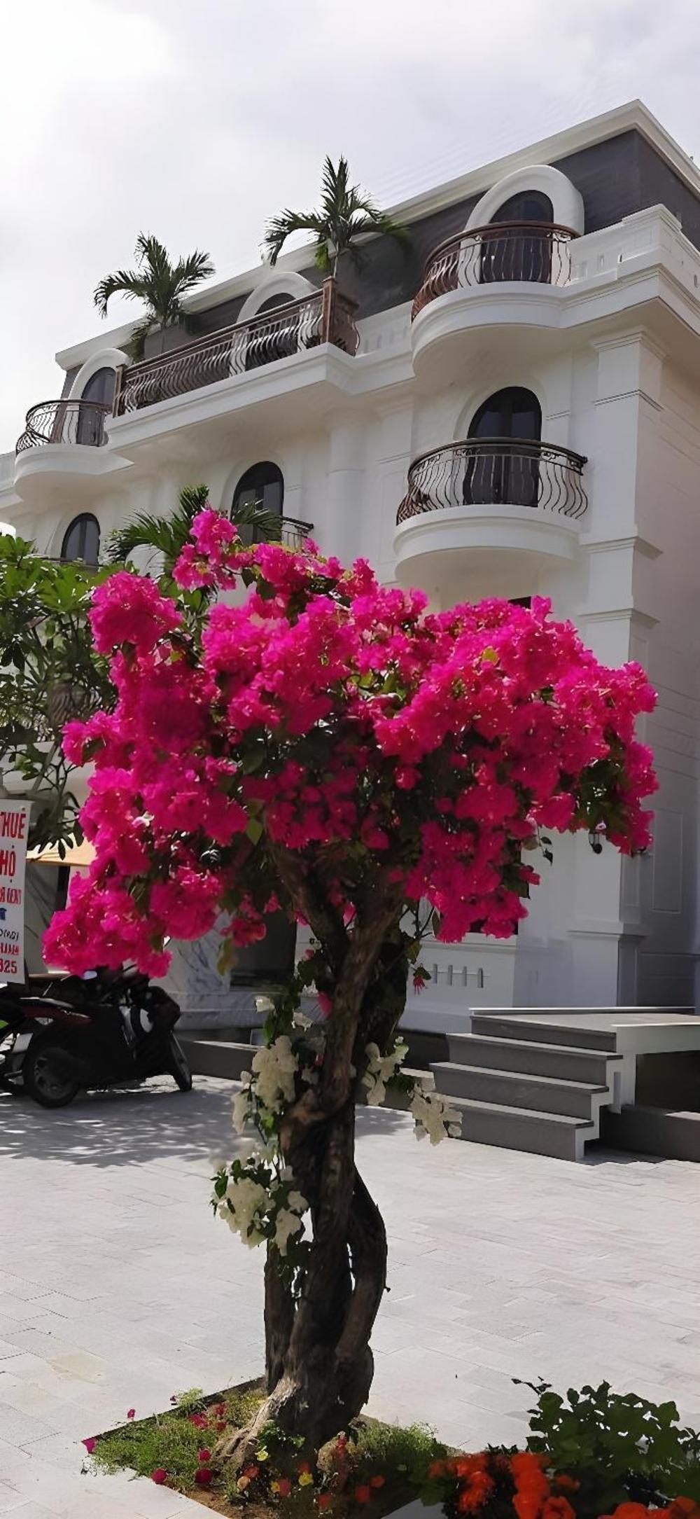 la sera suites nha trang