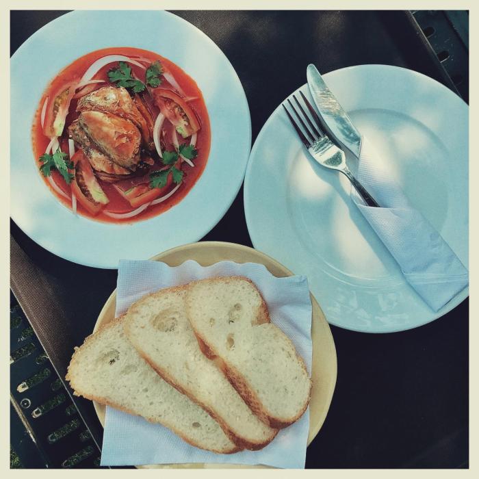 xom organic farm stay