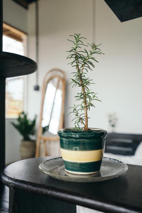 xom organic farm stay