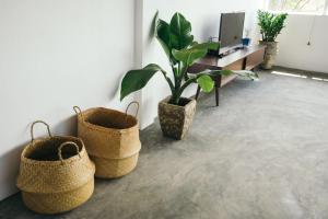 xom organic farm stay