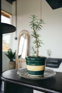 xom organic farm stay