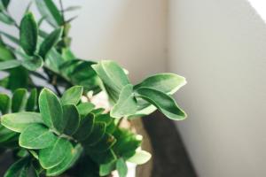 xom organic farm stay