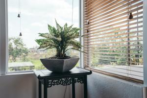 xom organic farm stay