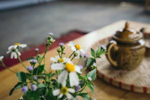 xom organic farm stay