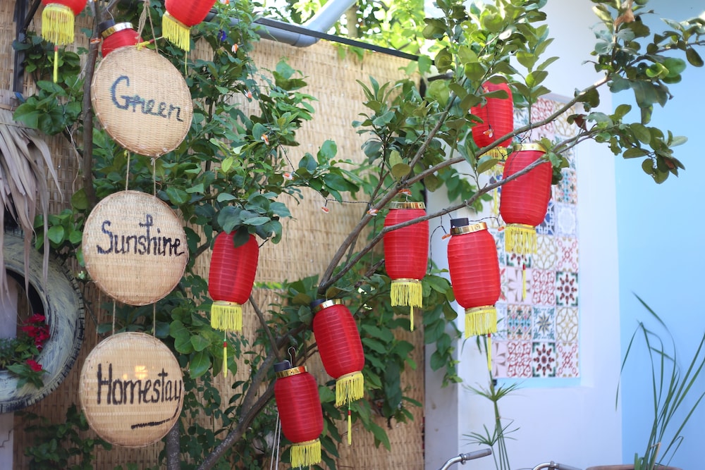 green sunshine can tho