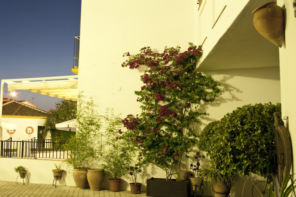 hacienda olontigi